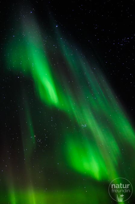 Aurora Borealis auf den Lofoten