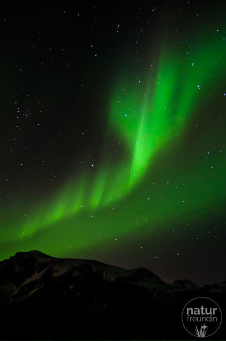 Nordlichter auf den Lofoten
