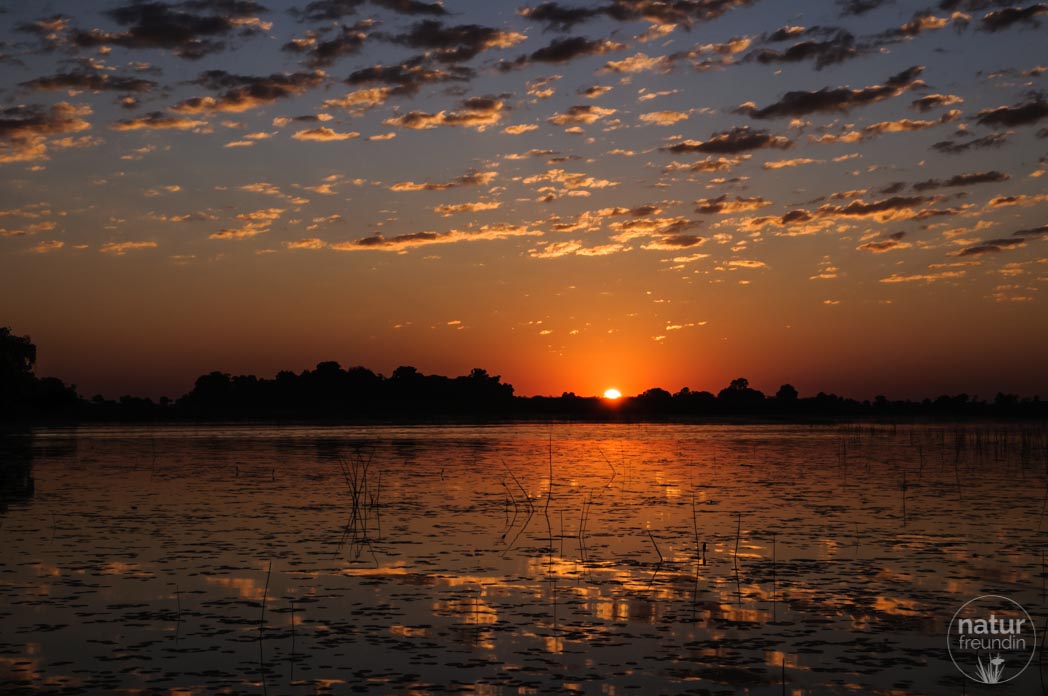 Sonnenuntergang Okavangodelta