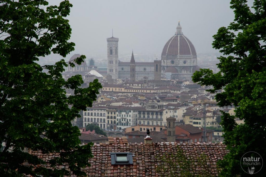 Blick auf den Dom von Florenz