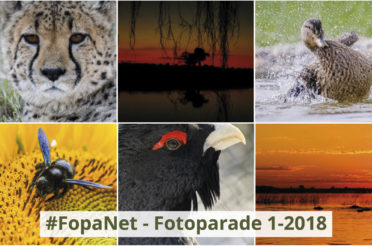 FopaNet – das 1. Halbjahr 2018 in Bildern
