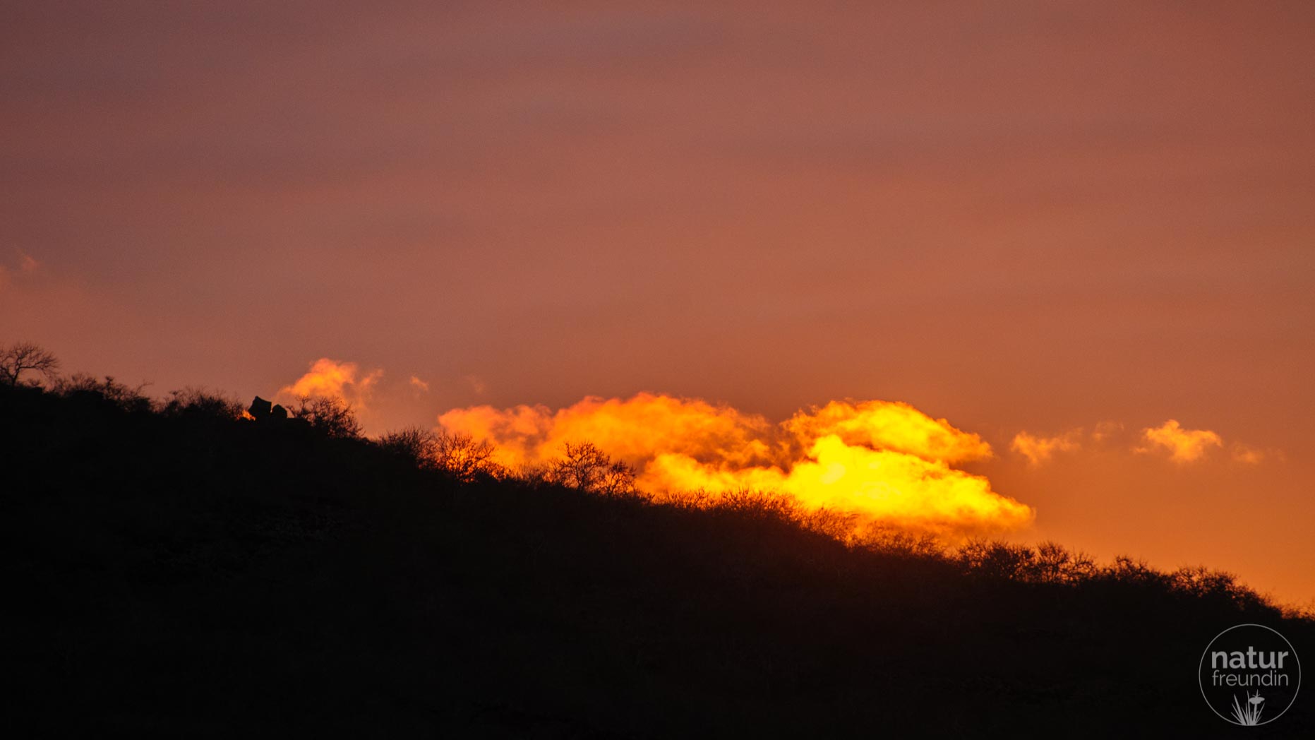 Sonnenuntergang Galapagos
