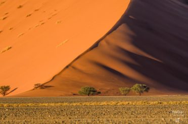 Naturfotografie in Namibia – Unsere Reise im Überblick