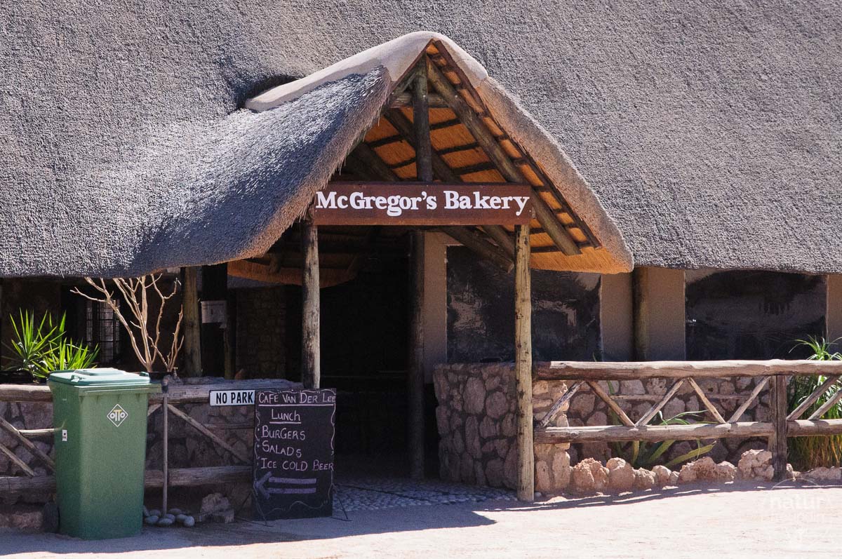 McGregor's Bakery, Solitaire