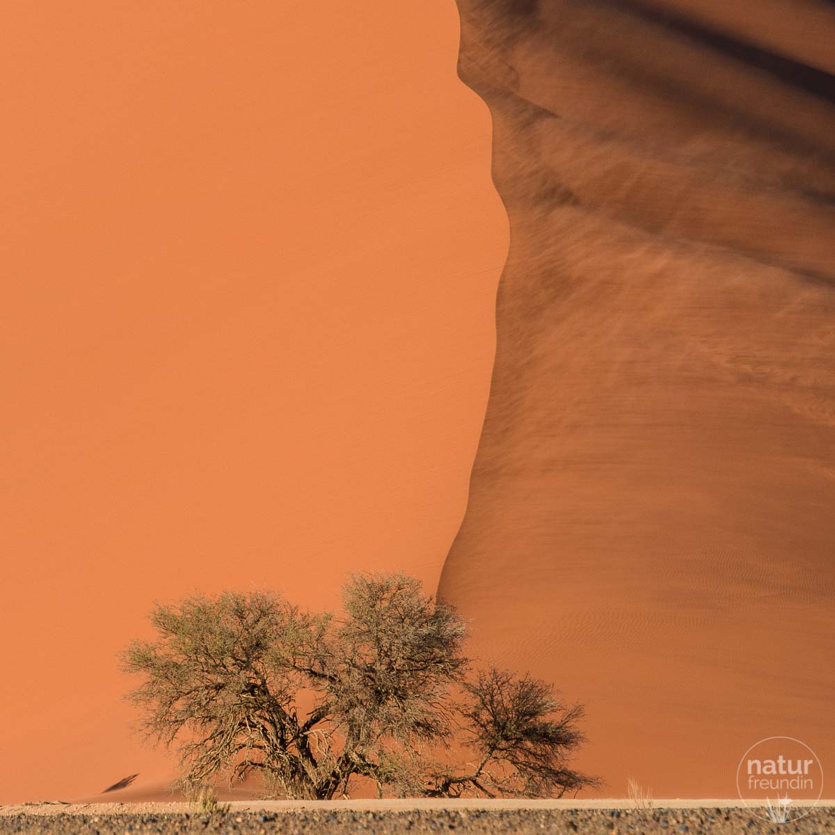 Düne Sossusvlei, Namibia