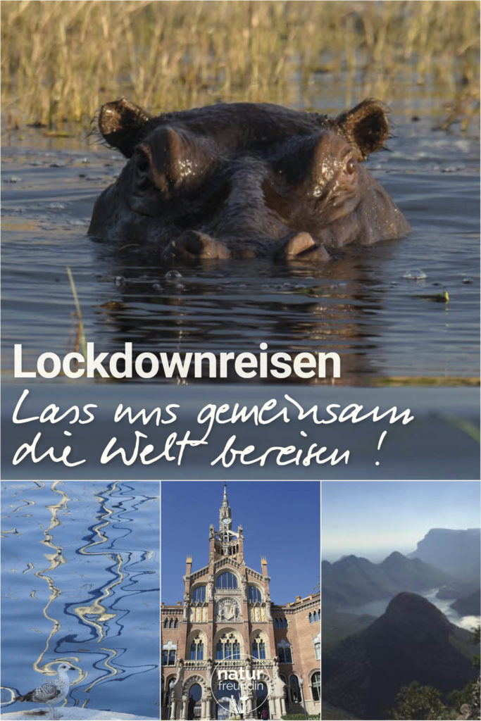 Lockdownreisen - Lass uns die Welt bereisen