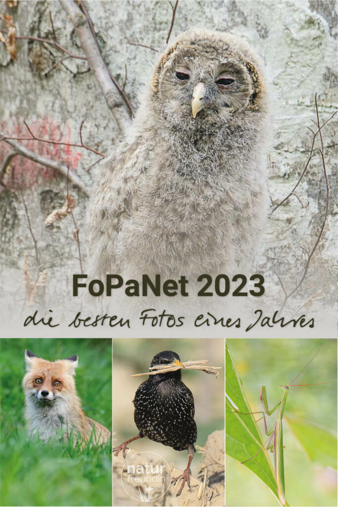 FoPaNet Fotoparade 2023