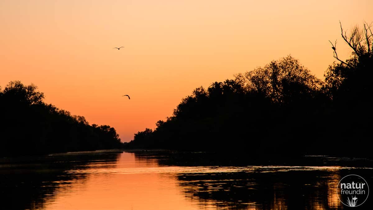 Sonnenaufgang im Donaudelta, Rumänien
