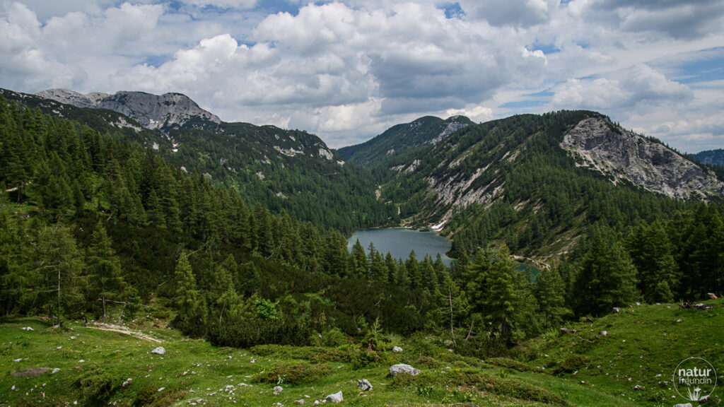 Blick von der Trawenghütte